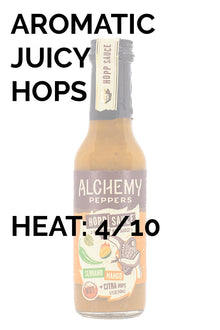 Serrano Mango Hopp Sauce | Alchemy Peppers L8